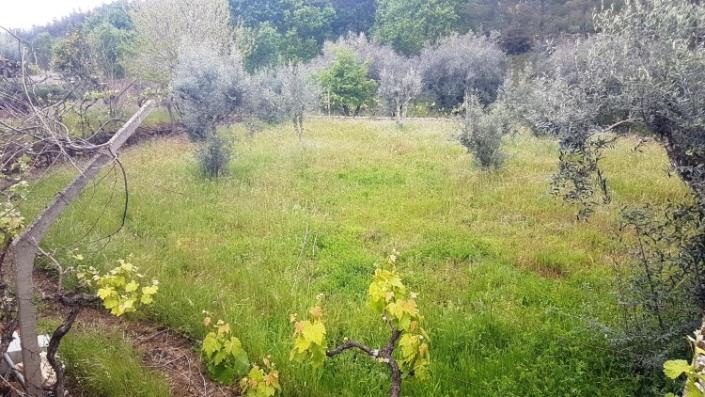 Image No.30-4 Bed Farmhouse for sale