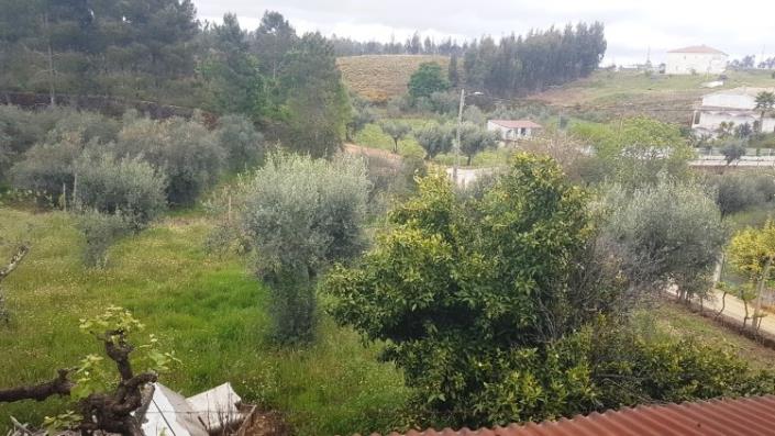 Image No.31-4 Bed Farmhouse for sale