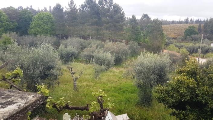 Image No.32-4 Bed Farmhouse for sale