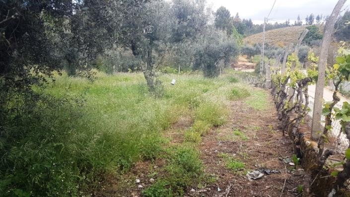 Image No.57-4 Bed Farmhouse for sale