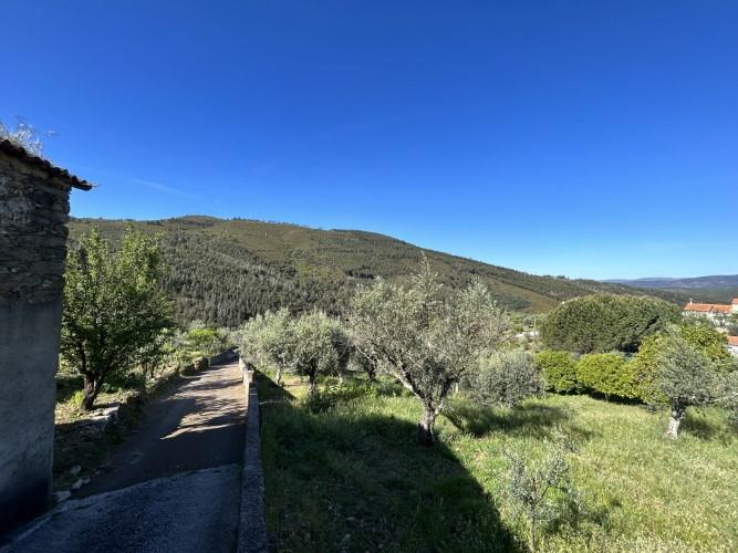 Image No.19-Maison de village de 2 chambres à vendre à Pampilhosa da Serra