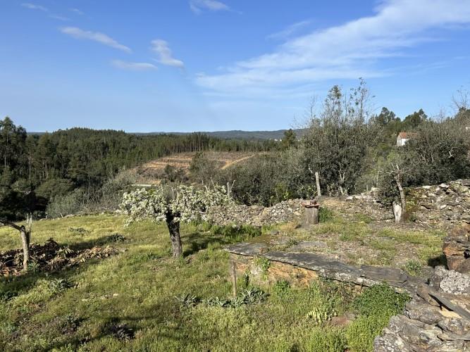 Image No.13-Maison de village à vendre à Pampilhosa da Serra