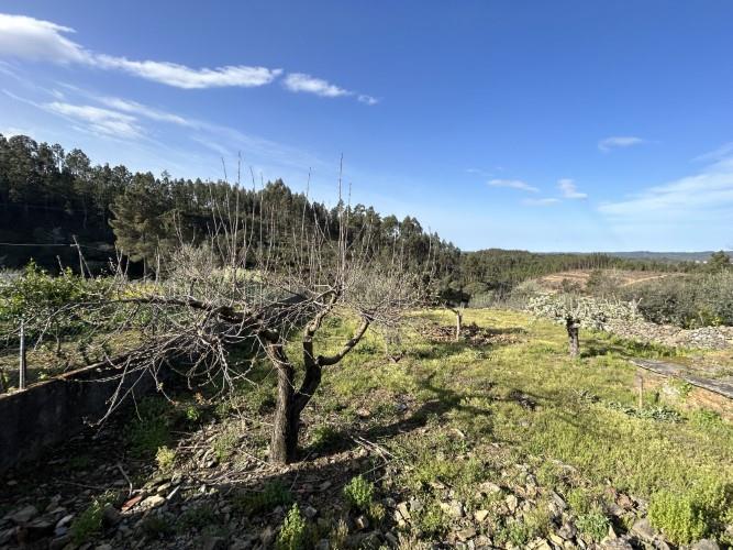 Image No.14-Maison de village à vendre à Pampilhosa da Serra
