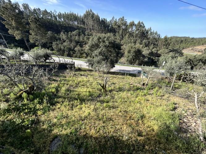 Image No.16-Maison de village à vendre à Pampilhosa da Serra