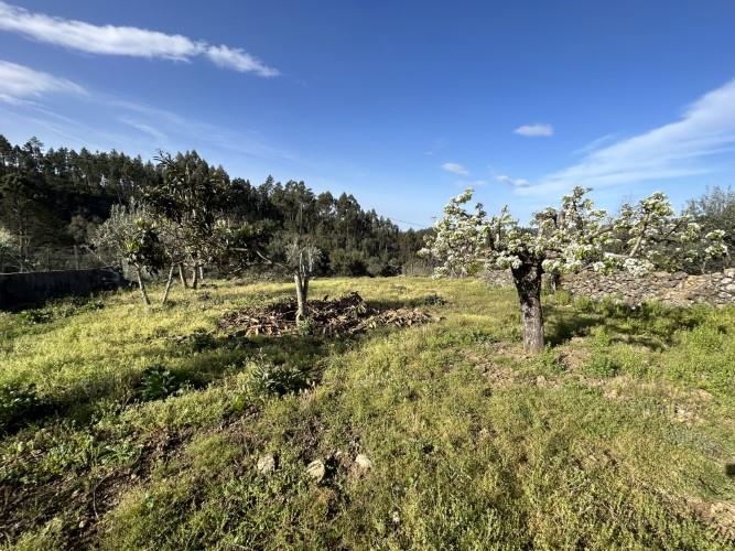 Image No.17-Maison de village à vendre à Pampilhosa da Serra