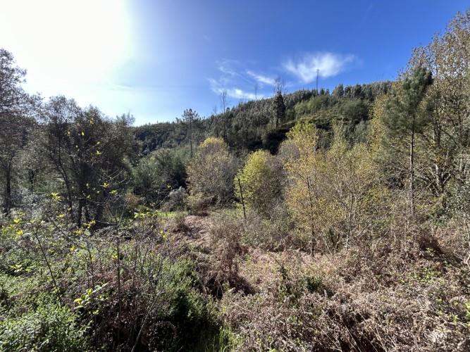 Image No.19-Maison de village à vendre à Pampilhosa da Serra