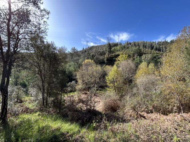 Image No.20-Maison de village à vendre à Pampilhosa da Serra