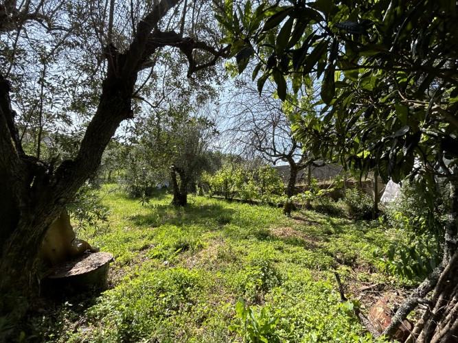 Image No.32-3 Bed Village House for sale