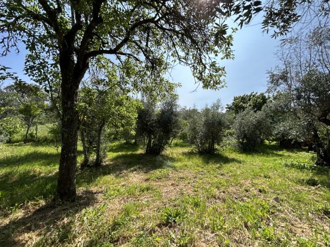 Image No.33-3 Bed Village House for sale