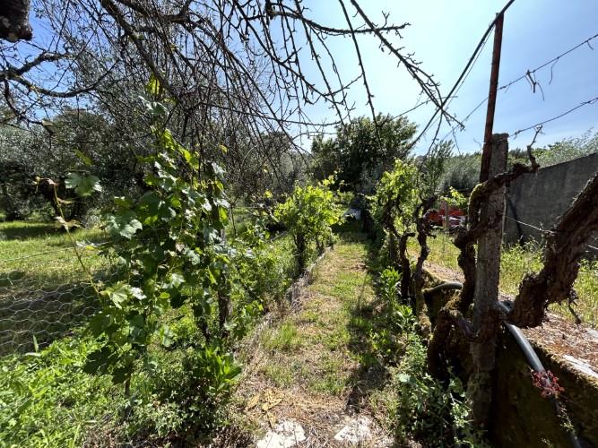 Image No.34-3 Bed Village House for sale