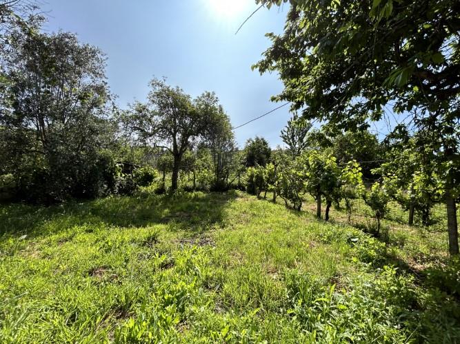 Image No.35-3 Bed Village House for sale