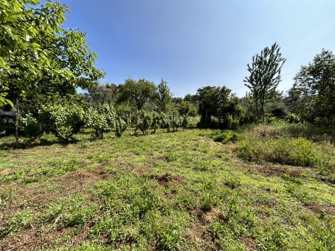 Image No.36-3 Bed Village House for sale