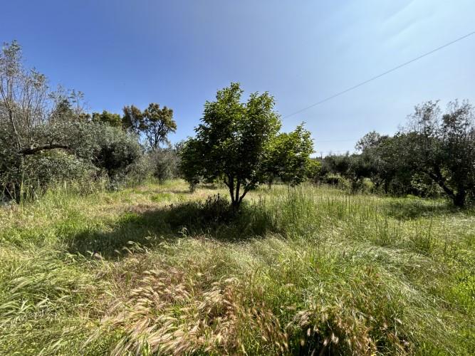 Image No.37-3 Bed Village House for sale