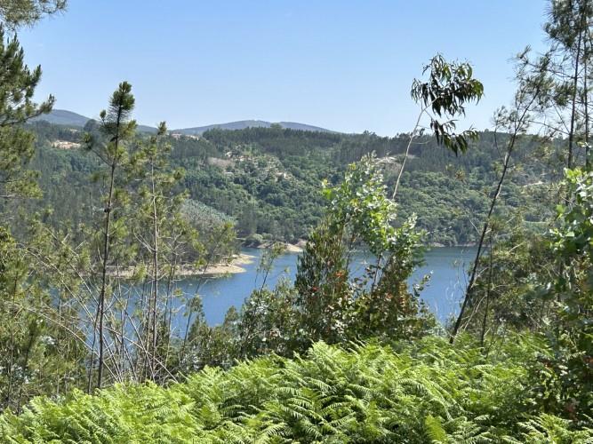 Image No.7-Terrain à vendre à Pedrógão Grande