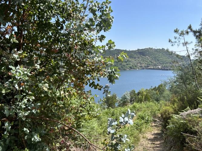 Image No.13-Terrain à vendre à Pedrógão Grande