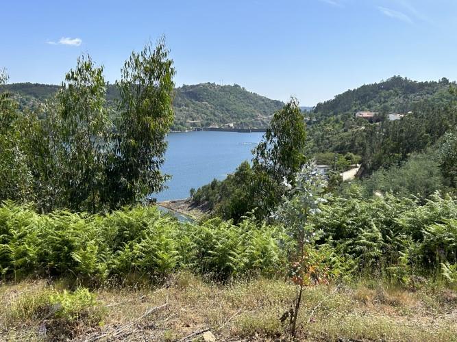 Image No.14-Terrain à vendre à Pedrógão Grande