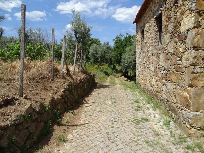 Image No.2-Village House for sale