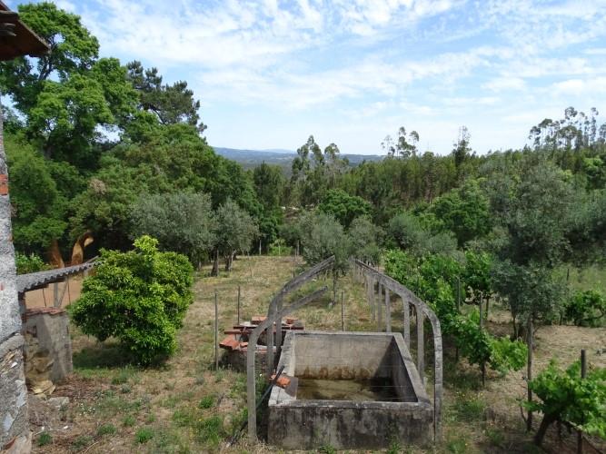 Image No.12-Village House for sale