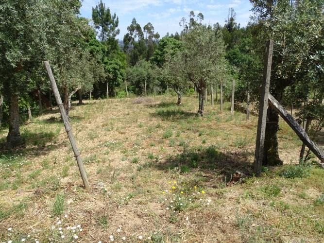 Image No.21-Village House for sale