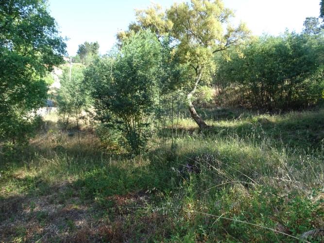 Image No.7-Land for sale