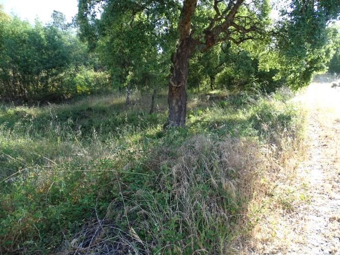 Image No.9-Land for sale