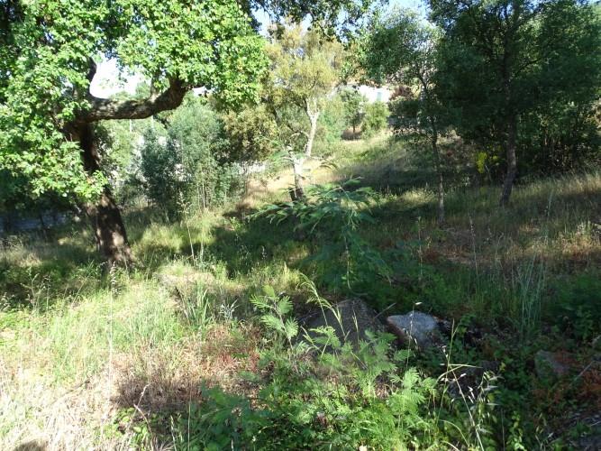 Image No.11-Land for sale