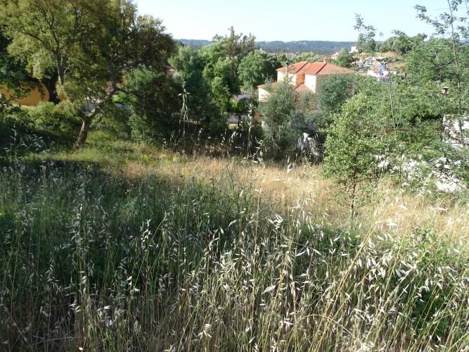 Image No.12-Land for sale