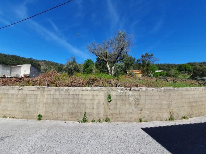 Image No.2-Terrain à vendre à Figueiró dos Vinhos