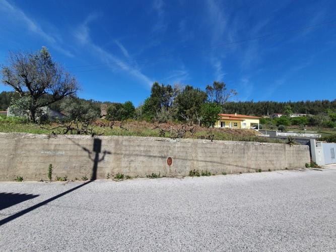 Image No.3-Terrain à vendre à Figueiró dos Vinhos