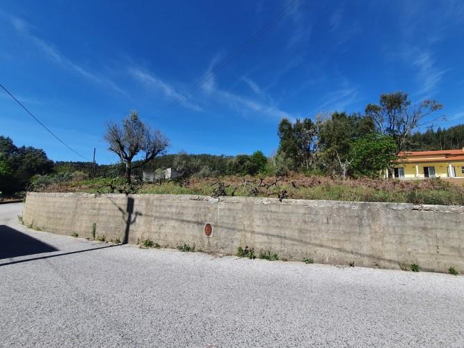 Image No.5-Terrain à vendre à Figueiró dos Vinhos