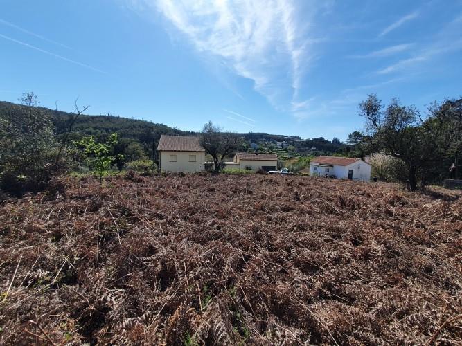 Image No.7-Terrain à vendre à Figueiró dos Vinhos