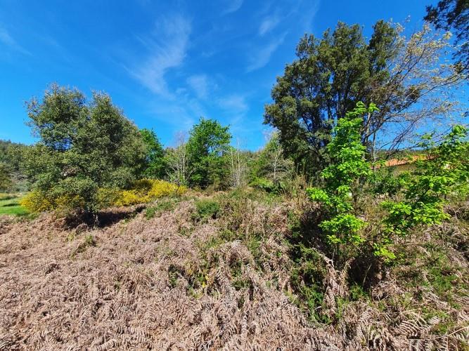 Image No.8-Terrain à vendre à Figueiró dos Vinhos