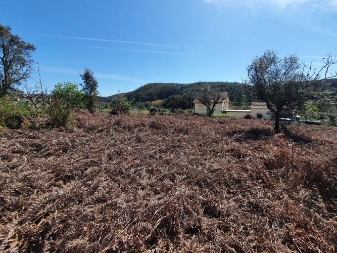 Image No.9-Terrain à vendre à Figueiró dos Vinhos