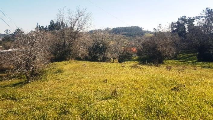 Image No.9-Land for sale