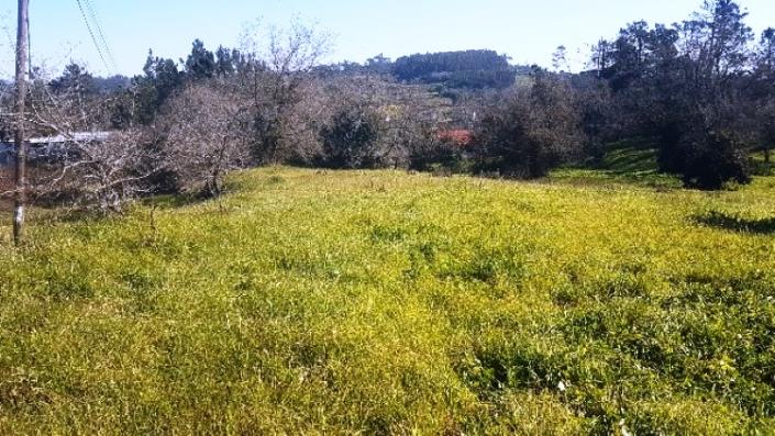 Image No.12-Land for sale