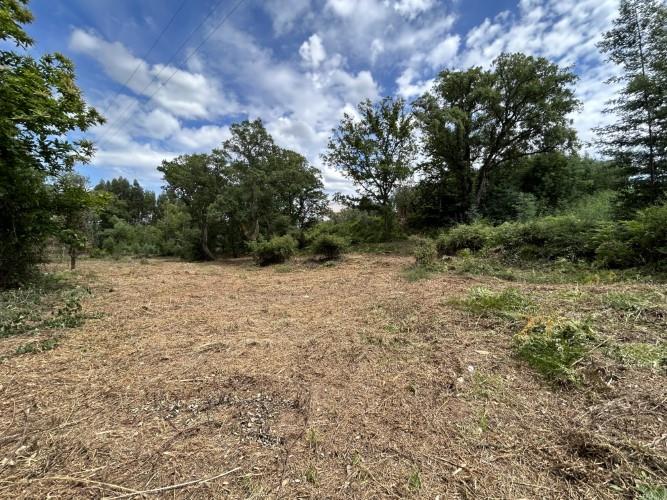 Image No.3-Land for sale