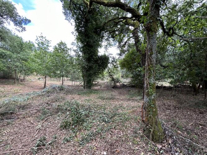 Image No.4-Land for sale