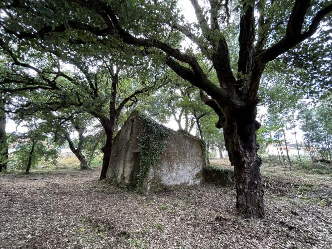 Image No.5-Land for sale