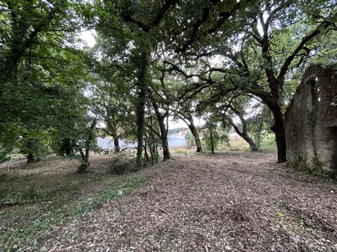 Image No.6-Land for sale