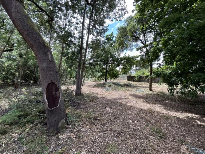 Image No.7-Land for sale