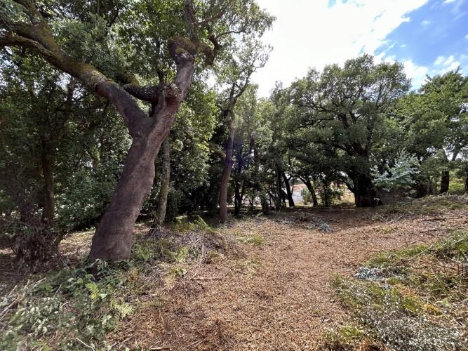 Image No.8-Land for sale