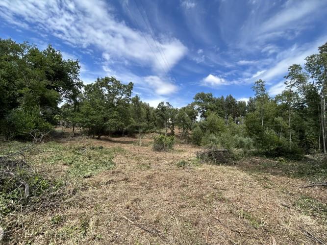 Image No.9-Land for sale