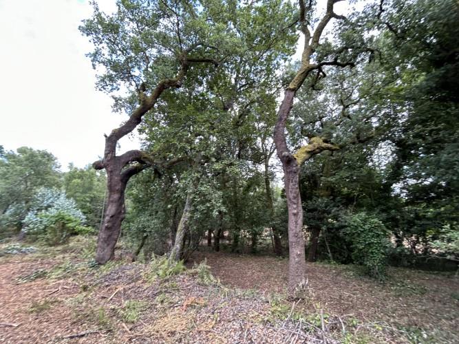 Image No.10-Land for sale