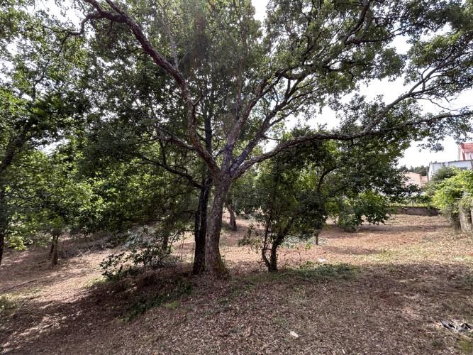 Image No.11-Land for sale