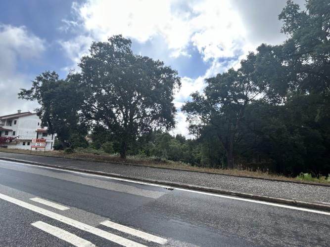 Image No.12-Land for sale