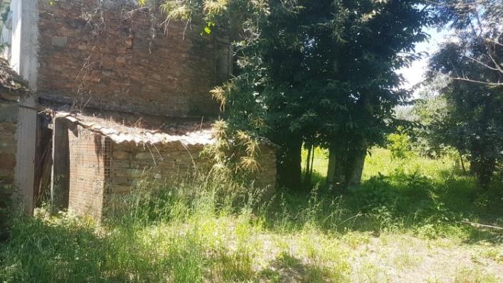 Image No.11-Village House for sale