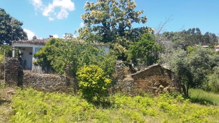 Image No.14-Village House for sale