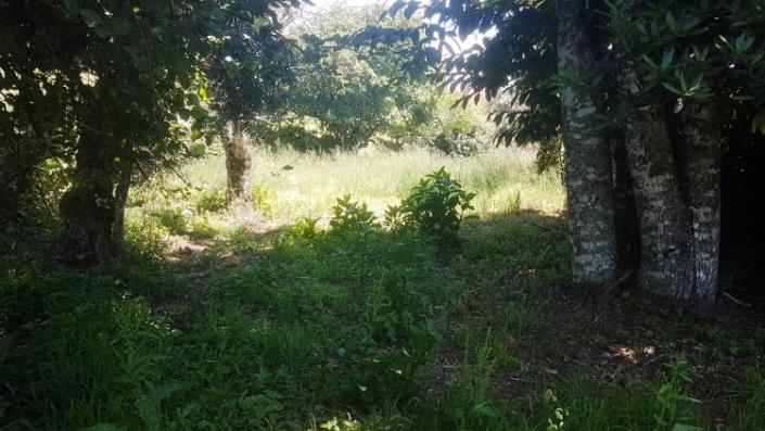 Image No.29-Village House for sale