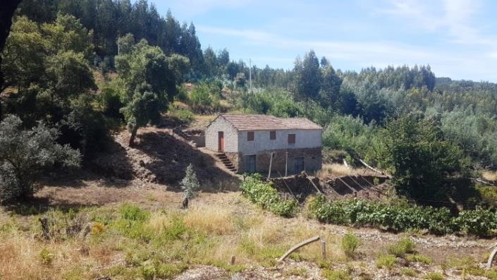 Image No.2-Ferme à vendre à Oleiros