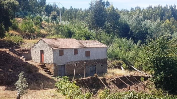 Image No.3-Ferme à vendre à Oleiros